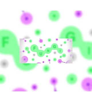 FUNGI Steam Key GLOBAL